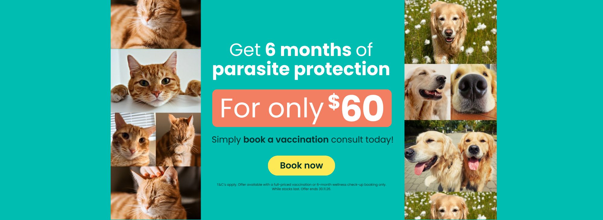 Get 6 months of parasite protection for only $60. Simply book a vaccination consult today. T&C's apply. Offer ends 30.11.26.